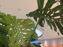 -桂满陇·手作小笼包&江南叫花鸡(中山公园店)