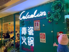-青瓷火锅料理(西单大悦城店)