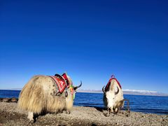 -青海湖国家重点风景名胜区