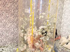 -不可思议减压馆·解压博物馆·摔碗发泄·团建定制