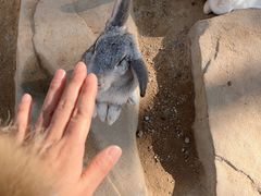 -合肥野生动物园