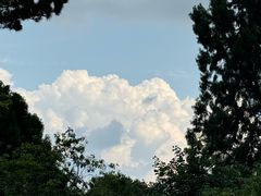 -北京西山国家森林公园