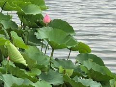 -颐润堂专业养生(五道口华清商务会馆店)