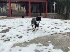-四门塔风景区