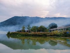 -风云岭森林公园