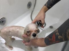 -FAELING PETS美天灵宠物(富力广场店)