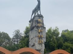 -成都动物园