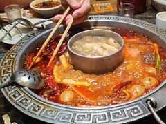 -杨肥肠火锅大排档(火车站花园店)