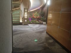 -世外桃源水疗会(皇庭彩园店)