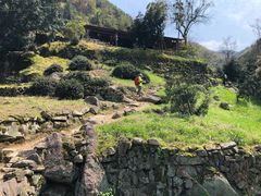 -东白山