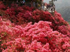 -木兰云雾山