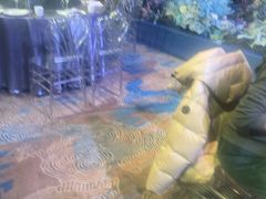 -上和臻品中国菜(花园街店)