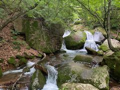 -五女峰国家森林公园