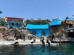 -大连老虎滩海洋公园