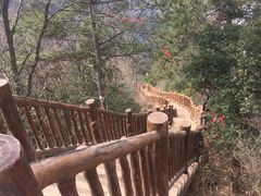 -塔云山