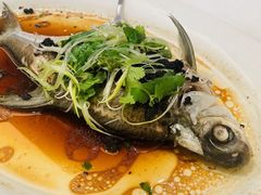 -沙龙酒家