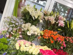 -FEI FEI FLOWER鲜花店·气球派对·宝宝宴布置(虹口德必运动Loft店)