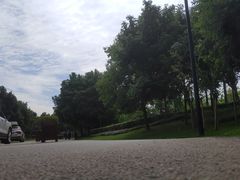 -白鹭湾湿地公园