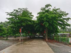 -伟记牛蹄(道滘店)