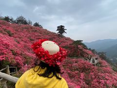 -木兰云雾山