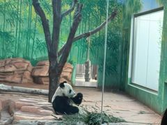 -秦皇岛野生动物园