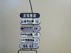 -野人先生现做冰淇淋(北京环宇荟店)