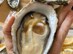 -斯普汇生蚝牛排馆(中骏世界城店)