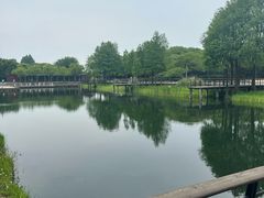-尚贤河湿地