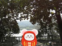 -西湖外事游船(花港观鱼码头)