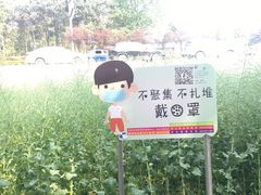 -桤木河湿地公园