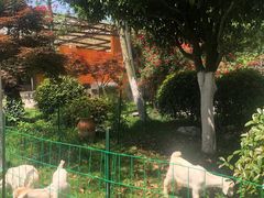 -洪湖家庭农场·团建·露营·会议