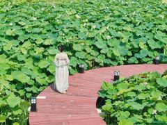 -嘉北郊野公园