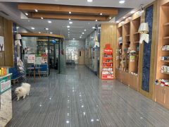 -瑞派名望志远动物医院·猫科·內科·异宠专科(直港大道店)