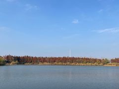 -溱湖国家湿地公园