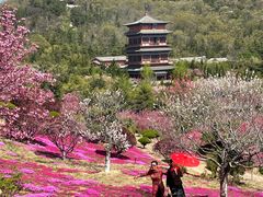 -石岛赤山风景区