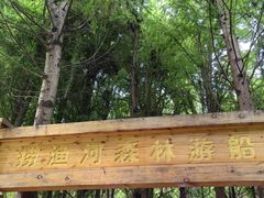 -捞渔河湿地公园
