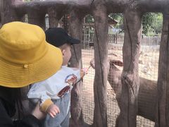 -石家庄市动物园