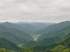 -宁波浙东大竹海景区