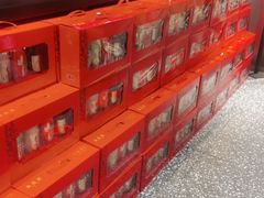 -永红源啤酒·烧烤·海鲜·大排档(青特城店)