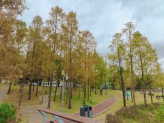 -牛岗山公园