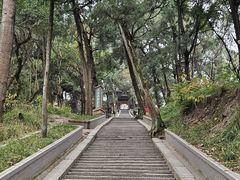 -子昂故里文化旅游区