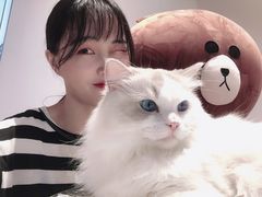 -瞄一喵猫咖(格力海岸店)