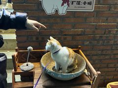 -龙厂长老火锅(抚琴店)
