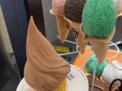 -野人先生Gelato(上海长宁龙之梦店)