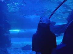 -左海海底世界