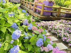 -沈阳植物园