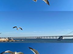 -金太阳海鲜烧烤·本地人餐厅(星海公园店)