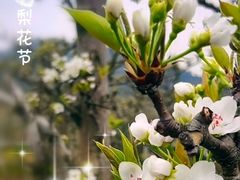 -树山生态村