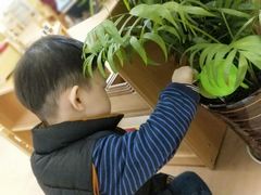 -绿城奇妙园双语日托(华茂悦峰园区)