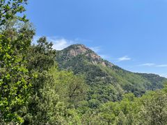 -泰山风景名胜区